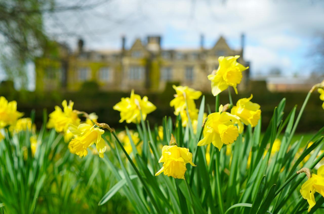 Gisborough Hall Hotel Ґісборо Екстер'єр фото